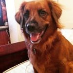 Profile Picture of Alice  Echevarría (@aliceechevarria) on Instagram