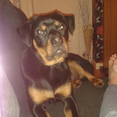 Profile Picture of Libby Wheeler (@WheelerLibby) on Twitter