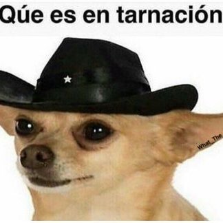 Profile Picture of Alex Mosqueda (@alexmosqueda56) on Twitter