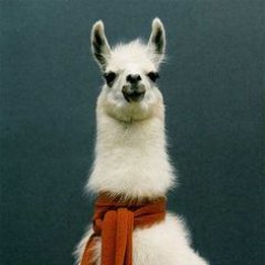 Profile Picture of Benjamin Turley (@BjamTurley) on Twitter