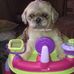 Profile Picture of Zachary Jay (@zachary.jay.9822) on Facebook