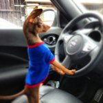 Profile Picture of Baylis HotDog (@baylis_hotdog) on Instagram