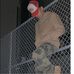 Profile Picture of Aaron Culler (@aaron.culler.1) on Facebook
