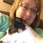 Profile Picture of Cheri Burgess Weber (@artzygirl60) on Instagram