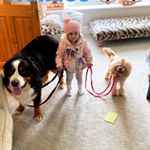 Profile Picture of Josh Kilby (@jkilby_1990) on Instagram