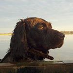 Profile Picture of Jason Cleghorn (@jason_cleghorn) on Instagram