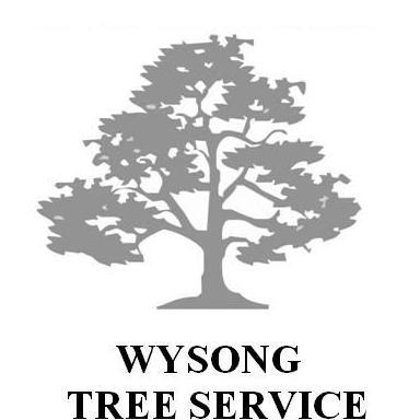 Profile Picture of Daniel Wysong (@wysongtreework) on Twitter