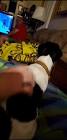 Profile Picture of   Payton (@dump.truck) |... (@dump.truck) on Tiktok