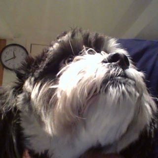 Percy Clark - Facebook Profile Picture of Percy Clark (@percy.clark.980) on Facebook