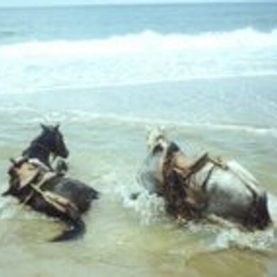 Profile Picture of Tamara Hodge (@Tamarantff) on Twitter