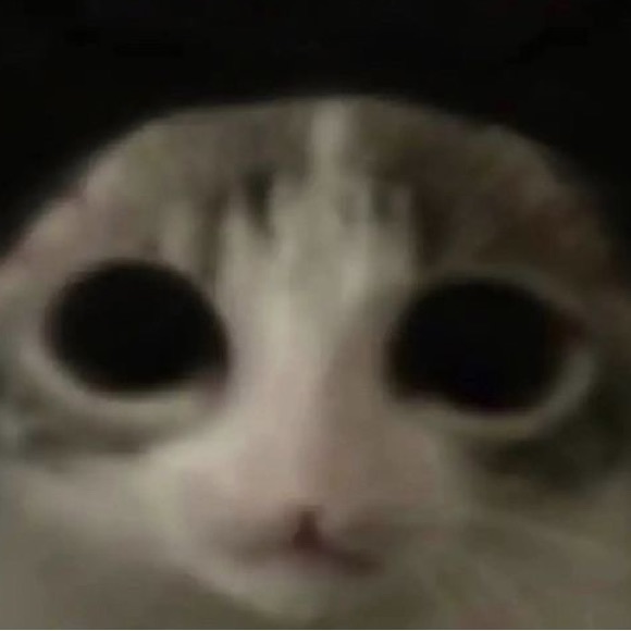 Profile Picture of Joanna Bedwell (@joannabedwell) on Poshmark