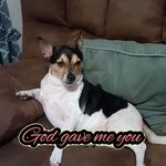 Profile Picture of Cheryl Dailey (@cheryl.dailey.12) on Instagram