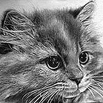 Profile Picture of Princess Caroline Nguyen (@princess caroline nguyen) on Flickr