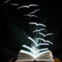 Profile Picture of Cassandra Mosier (@cassandra-mosier-2) on Quora