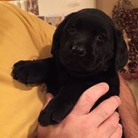 Cindy Borgosz - Quora Profile Picture of Cindy Borgosz (@cindy-borgosz) on Quora