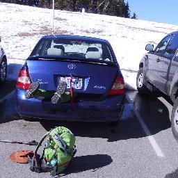 Profile Picture of Bob Vreeland (@biologistbobv) on Twitter