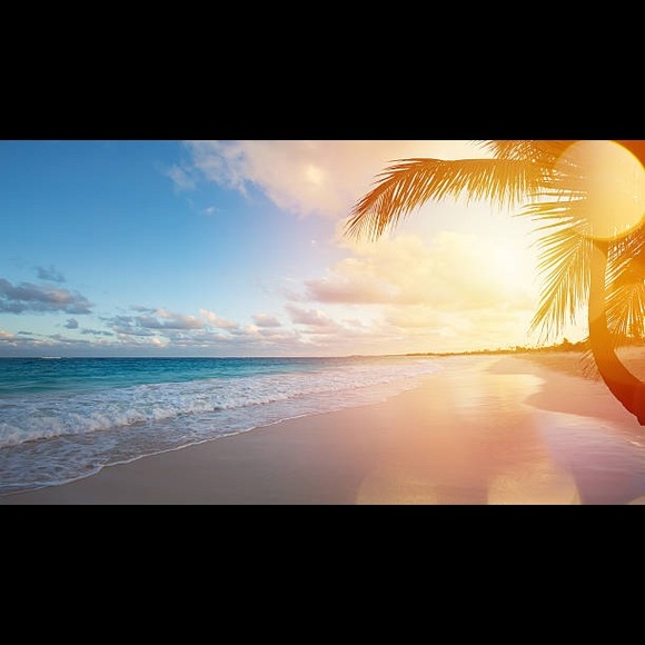 Profile Picture of Caitlan Moses (@caitlan928) on Poshmark