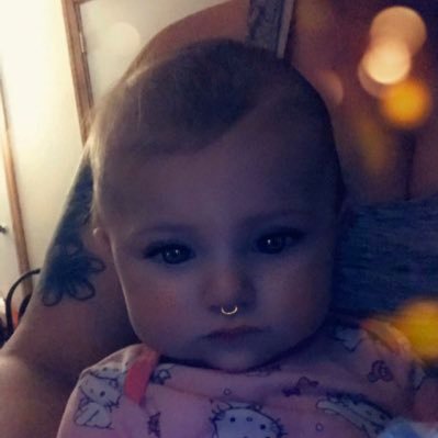 Steve Miele - Twitter Profile Picture of Steve Miele (@stevemiele3) on Twitter