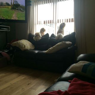 Stephen Creery - Facebook Profile Picture of Stephen Creery (@Stephen-Creery) on Facebook