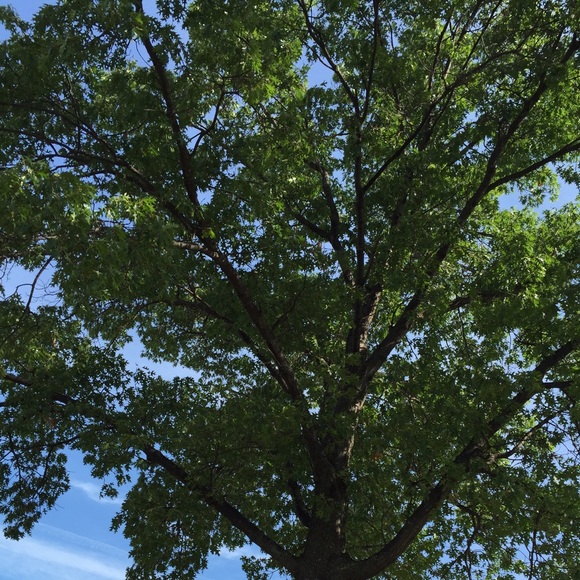 Profile Picture of Aubrae Miller (@aubraemiller) on Poshmark