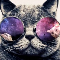 Profile Picture of Matthew Trujillo (@matthew-trujillo-19) on Quora