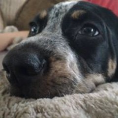 Profile Picture of Samuel Peter Rudge (@bbgeeeks) on Twitter