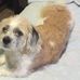 Profile Picture of Dixie Crabtree (@Dixie-Crabtree) on Facebook