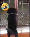 Profile Picture of   Emilio Perez... (@emilioperez249) on Tiktok