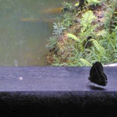 Gregory Stenta - Twitter Profile Picture of Gregory Stenta (@Greg_Bard) on Twitter