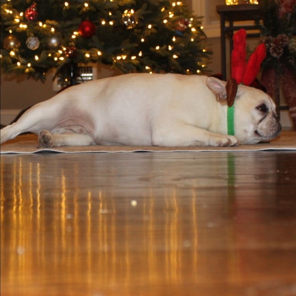 Profile Picture of Jaime Durchak (@jaimedurchak) on Poshmark