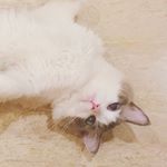 Profile Picture of Nelson (@unclekimbiubiu) on Instagram