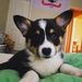 Profile Picture of Sammy Guilliams (@kittymonster200) on Pinterest