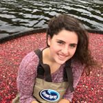 Profile Picture of Maria Connor (@maria_connor7799) on Instagram
