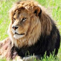 Profile Picture of Peter Hardin (@peter-hardin) on Quora