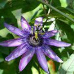 Profile Picture of Becky Thomas Janosik (@beckyjanosik) on Instagram