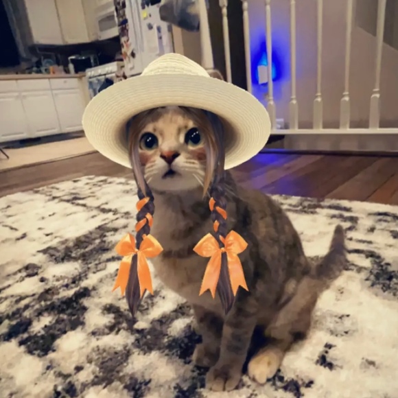 Profile Picture of Tracy Pinion (@piniontwins) on Poshmark