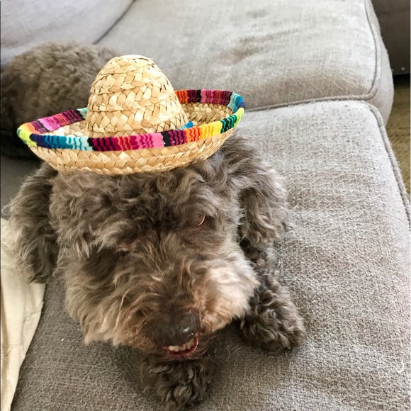 Profile Picture of Melissa Weissman (@melweiss) on Poshmark