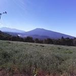 Profile Picture of Librado Gonzalez (@librado.gonzalez.75) on Instagram