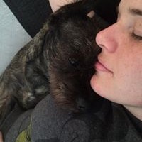 Profile Picture of Raquel Silva (@raquel-silva-38) on Quora