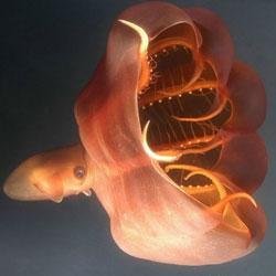 Profile Picture of Del Rodgers (@del_rodgers) on Twitter