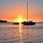 Profile Picture of Michael Mandella (@michaelmandella) on Instagram