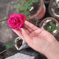 Profile Picture of Joy Rivera  (@joy-rivera-43) on Quora