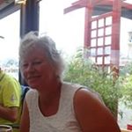 Profile Picture of Sue Hook (@suehook23) on Instagram