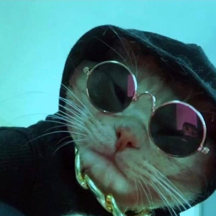 Profile Picture of Clarence (@clarencess) on Tiktok