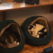 S Deveau - Youtube Profile Picture of S Deveau (@sdeveau7970) on Youtube