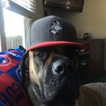 Profile Picture of Aaron Cady (@cadyaaron) on Instagram