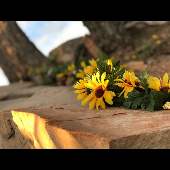 Profile Picture of Lane Witkin (@llcooj) on Poshmark