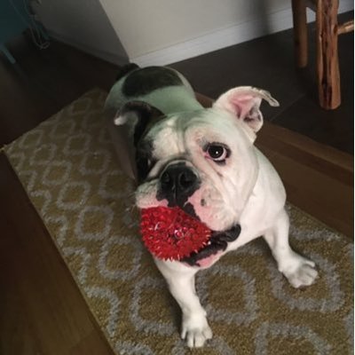 Profile Picture of Phoebe Adele Sims (@phoebeadelesims) on Twitter