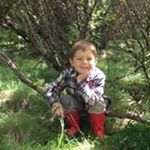 Profile Picture of Heather Wunderlich Morse (@grayson1014) on Instagram