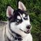Profile Picture of Shelly McCarthy (@shelly.mccarthy.3557) on Facebook
